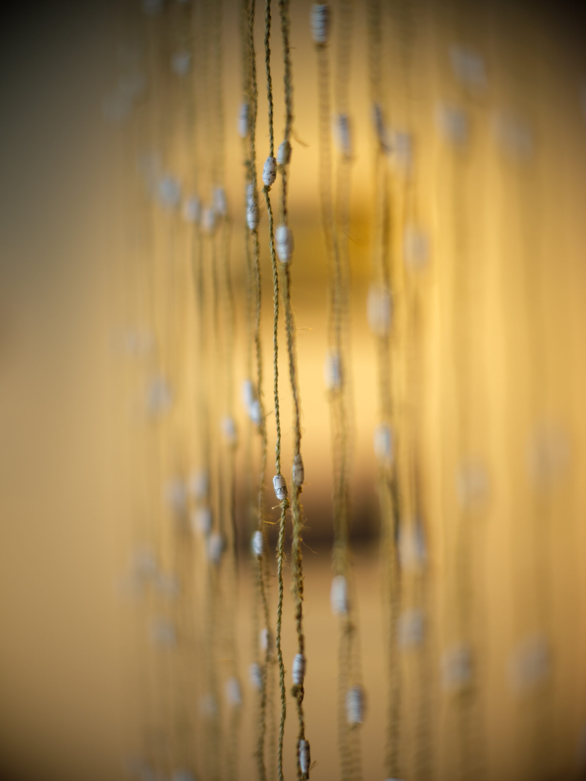 Featured Exhbition