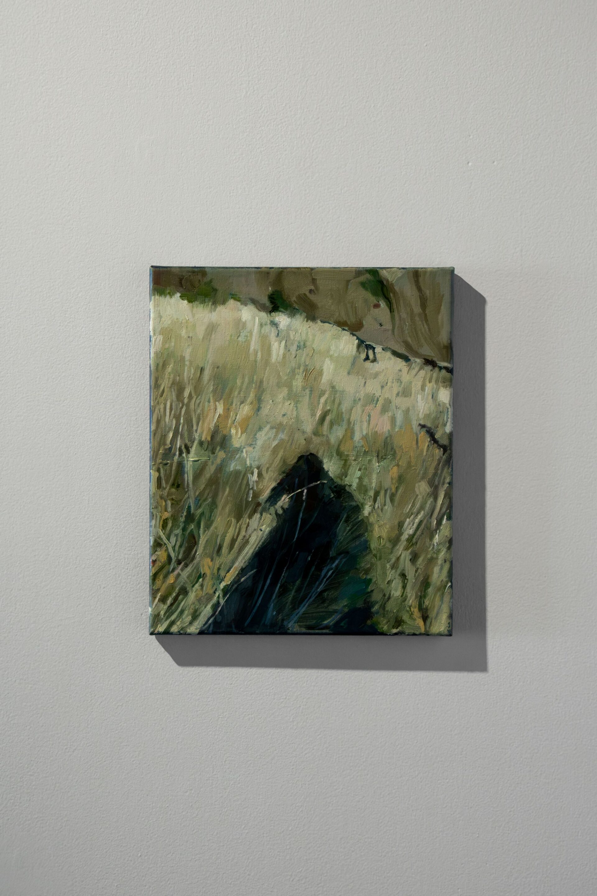 Malaea Mcfadyen, Ara, 'Surveyor', Oil on canvas, 250 x 200mm, 2026, Photo Credit Mollie Newman