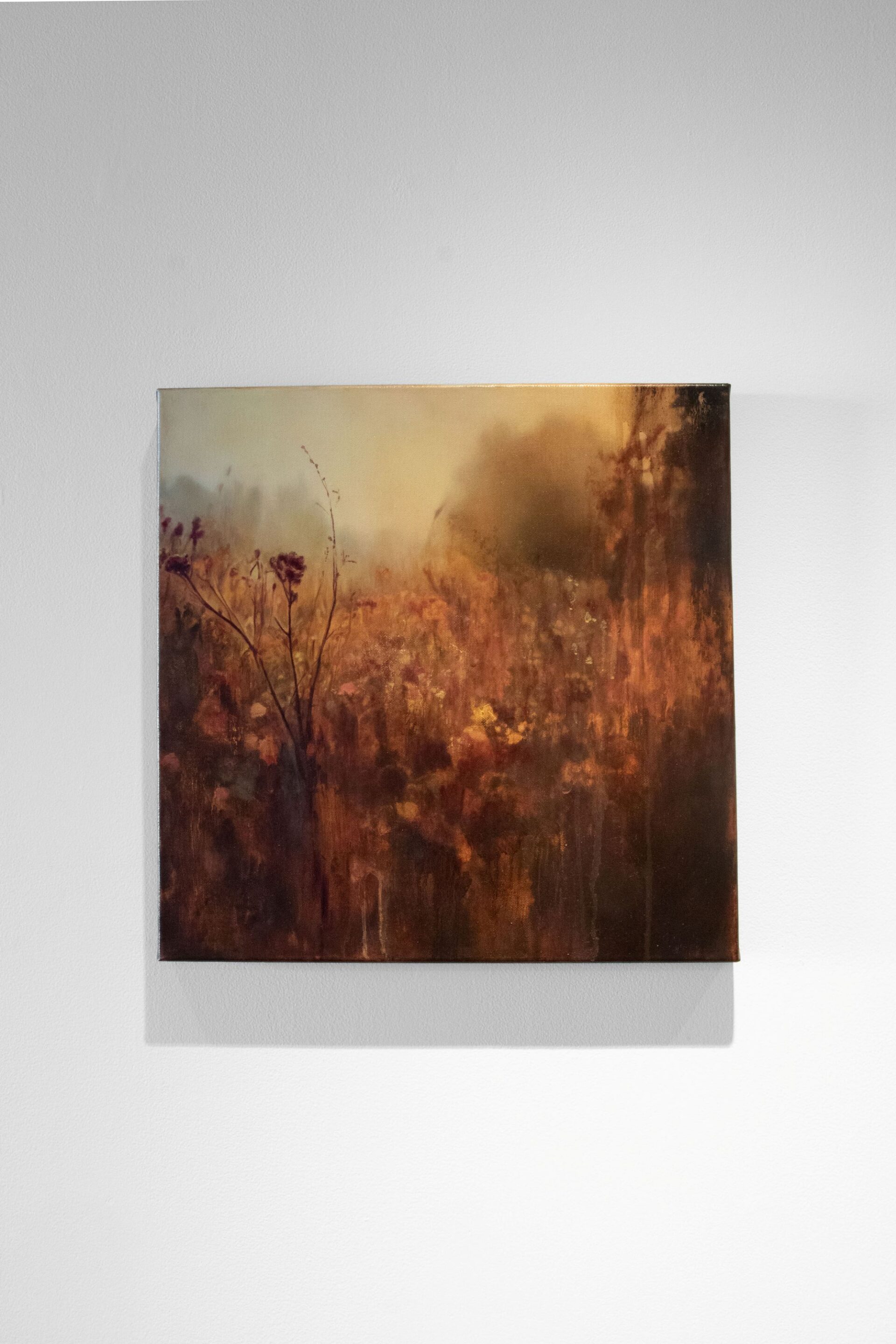 Rose Major, Ilam — Painting, Untitled, Oil on canvas, 457 x 457mm, 2026, Photo Credit Mollie Newman