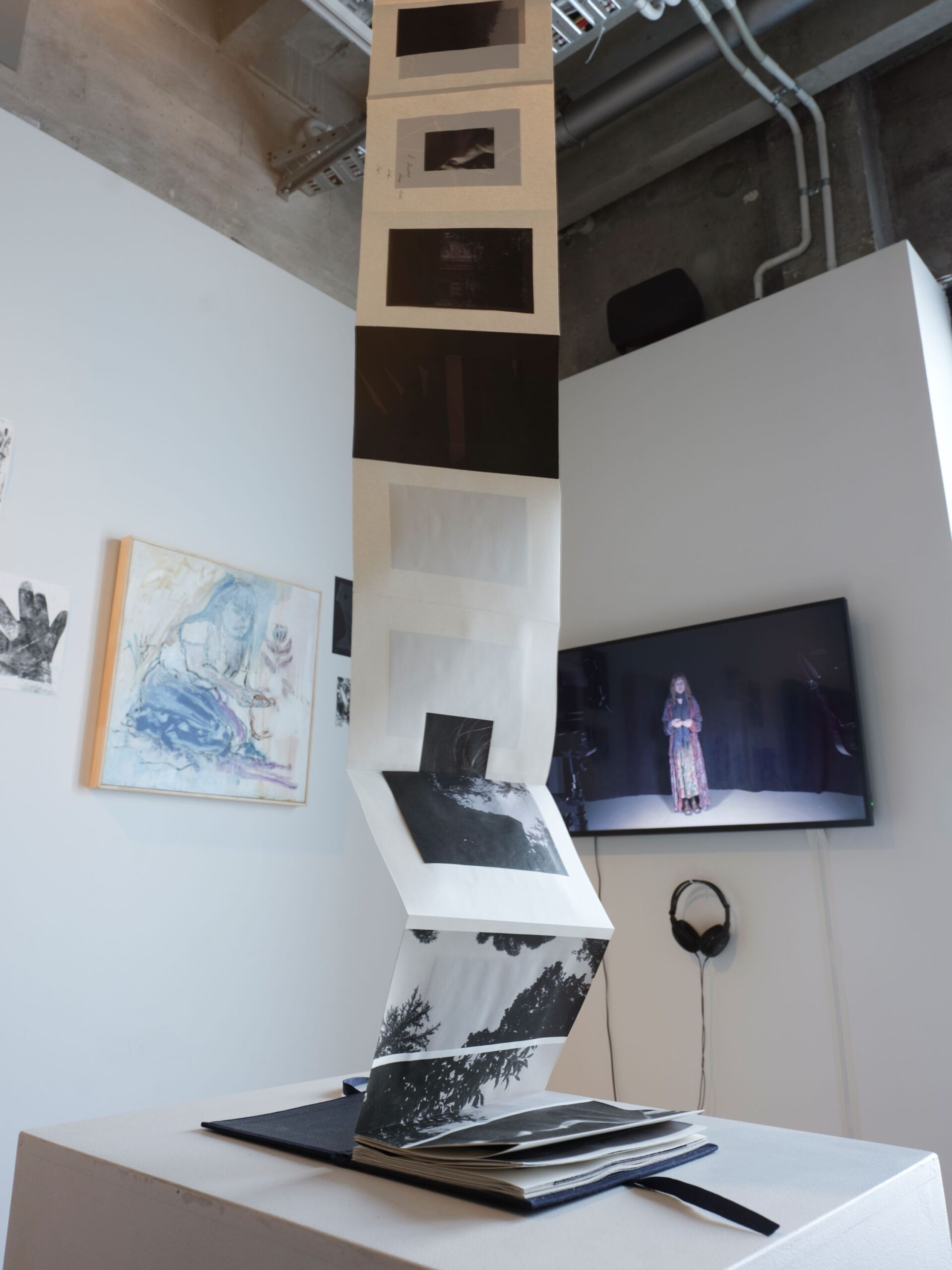 India Jenkins, Ilam — Photography, 'A Blanket of Spider Silk', Accordion photo book (paper, and fabric cover) with end page attached to ceiling, Dimensions variable, 2026, Photo Credit India Jenkins